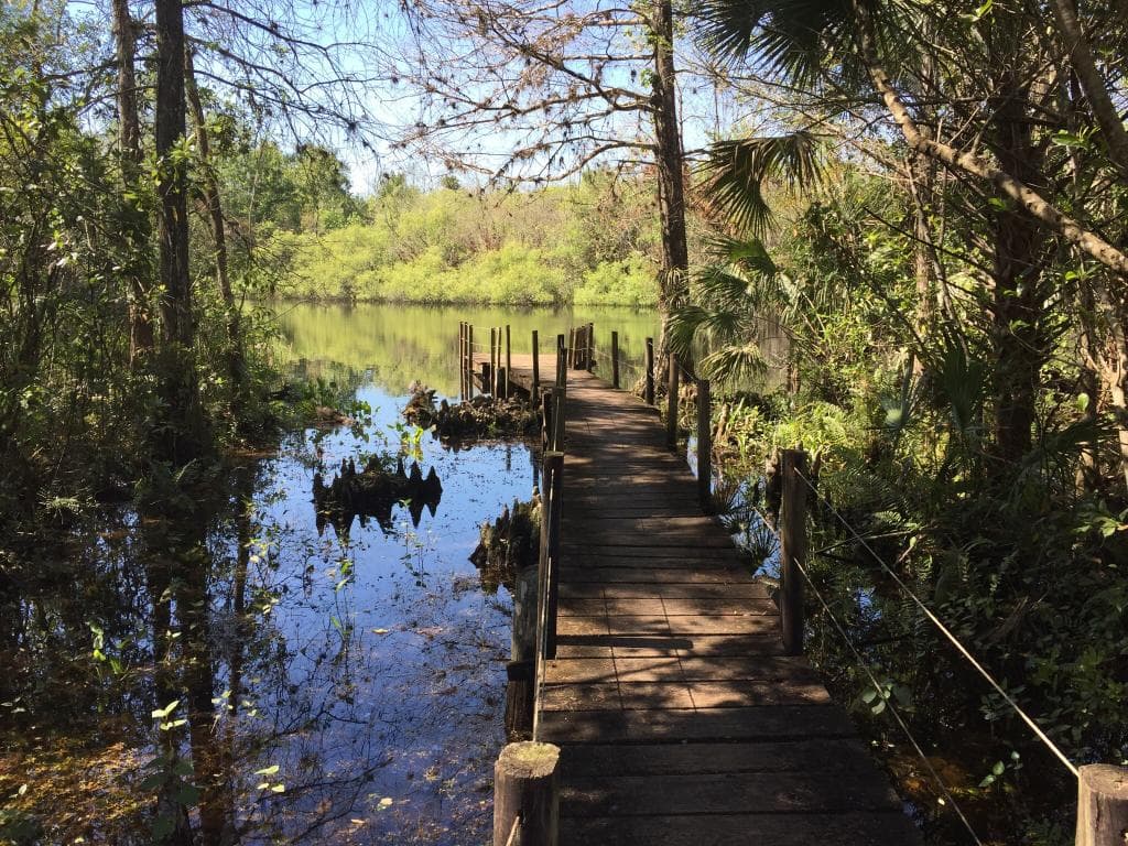 Fakahatchee Strand Preserve State Park & Boardwalk
