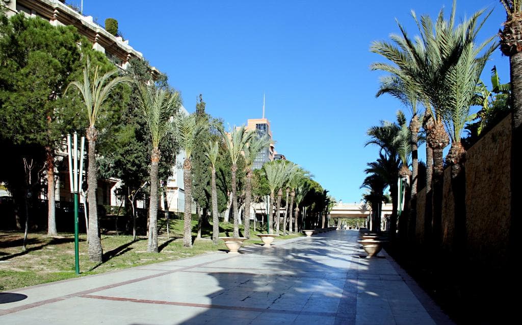 Parque de l'Aigüera Benidorm