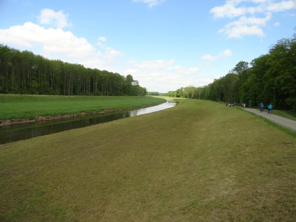 Leipzig Riverside Forest Auwald