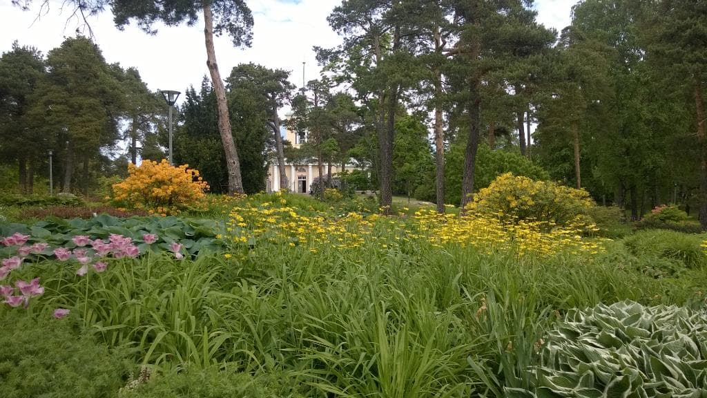 Isopuisto park from Ruotsinsalmenkatu