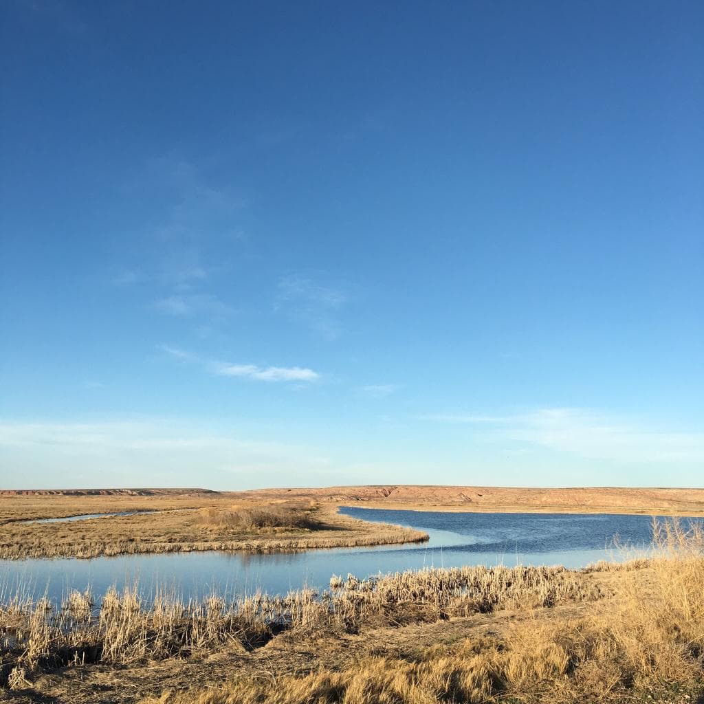 Bitter Lake National Wildlife Refuge