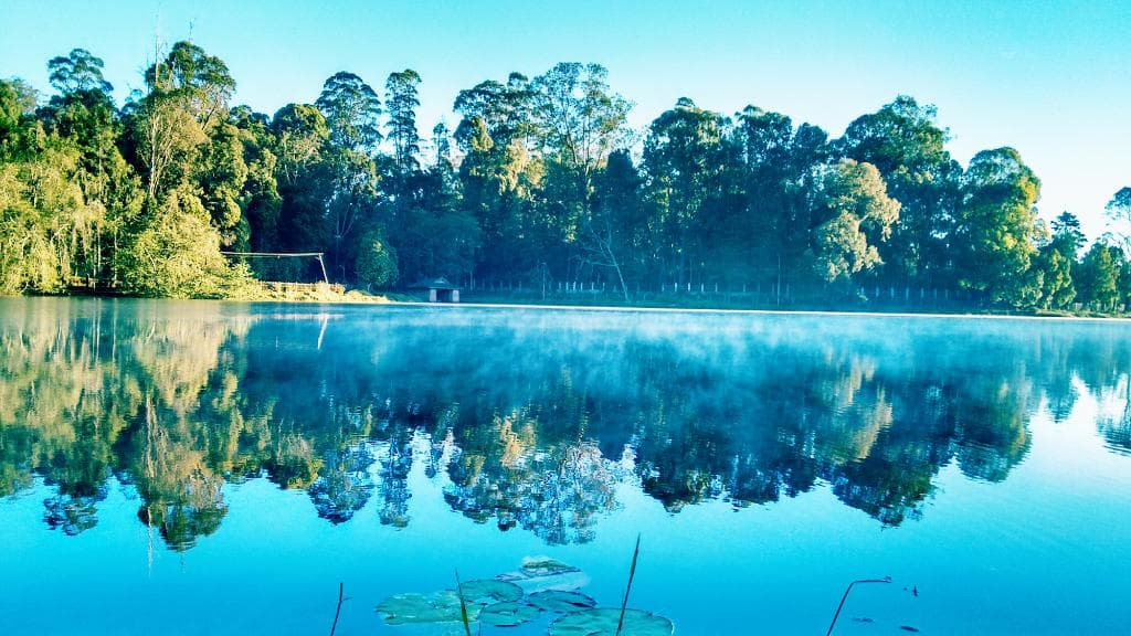 The misty lake