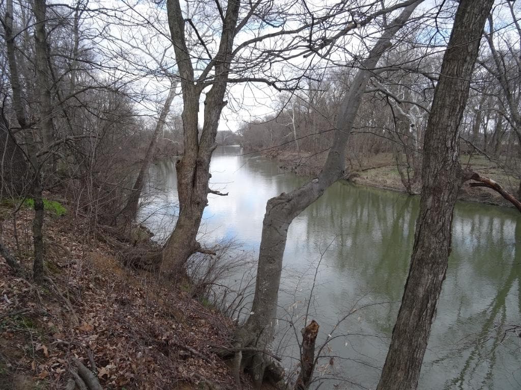View from northern-most point of paved trail