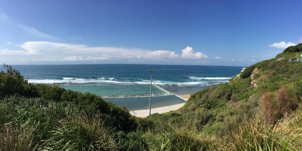 view