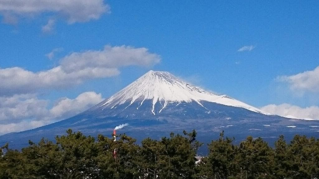 Tagonoura Minato Park