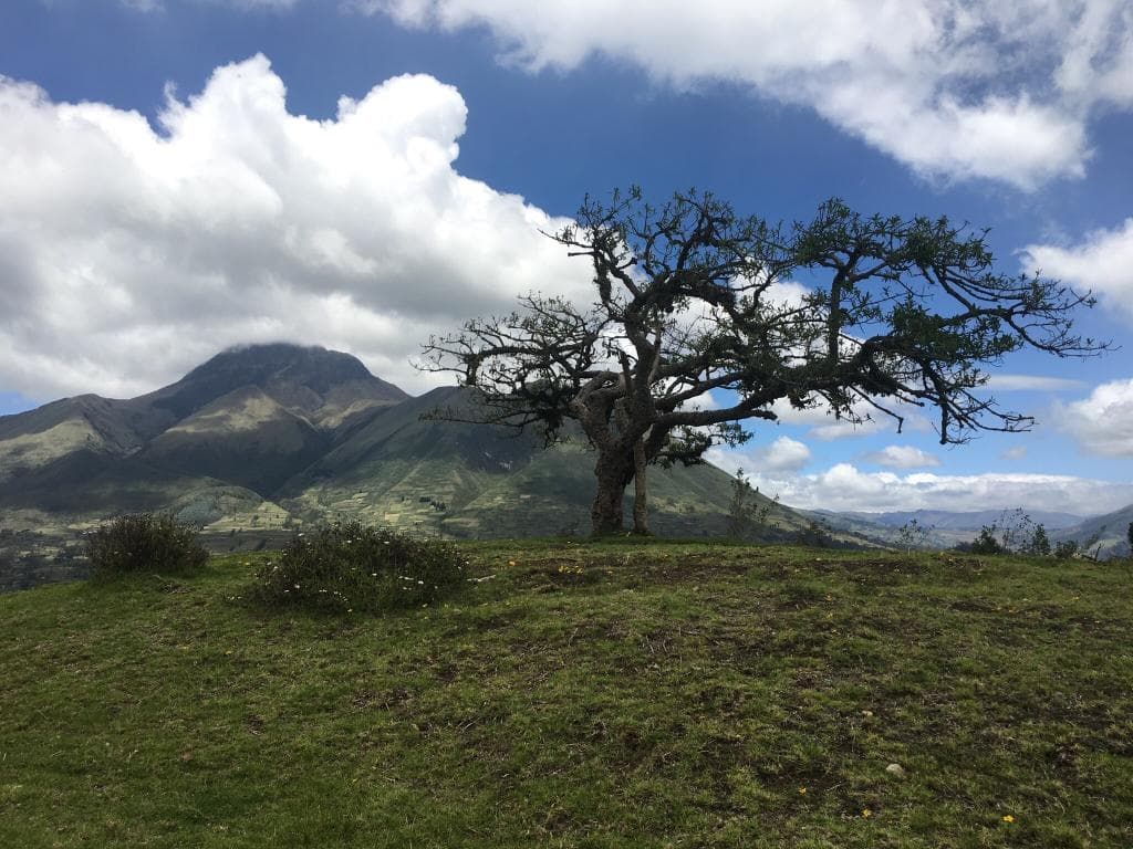 El Lechero Viewpoint
