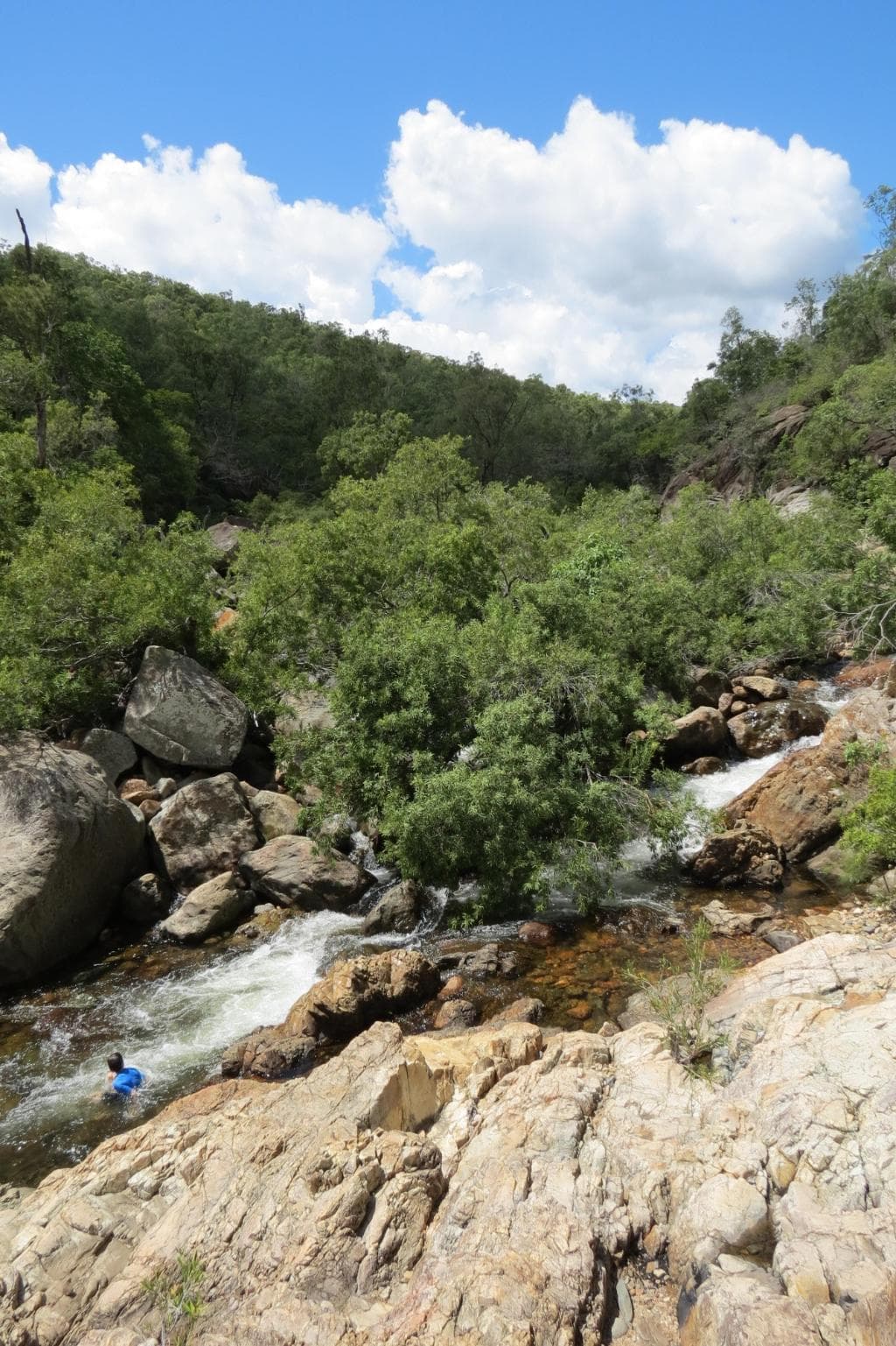 Alligator Creek in March 2016 after recent rains
