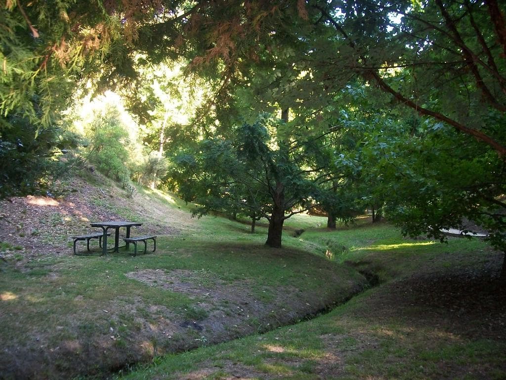 Karituwhenua Stream Walkway