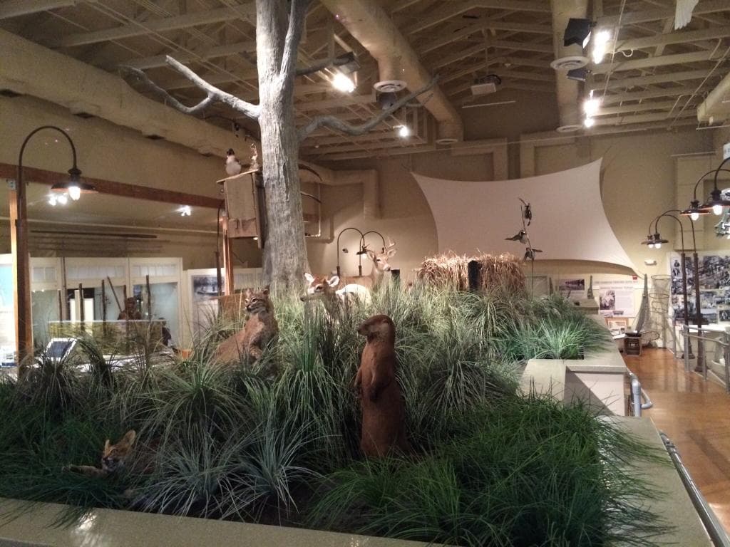 Outer Banks Center for Wildlife Education