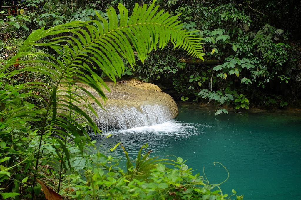 Lush surroundings