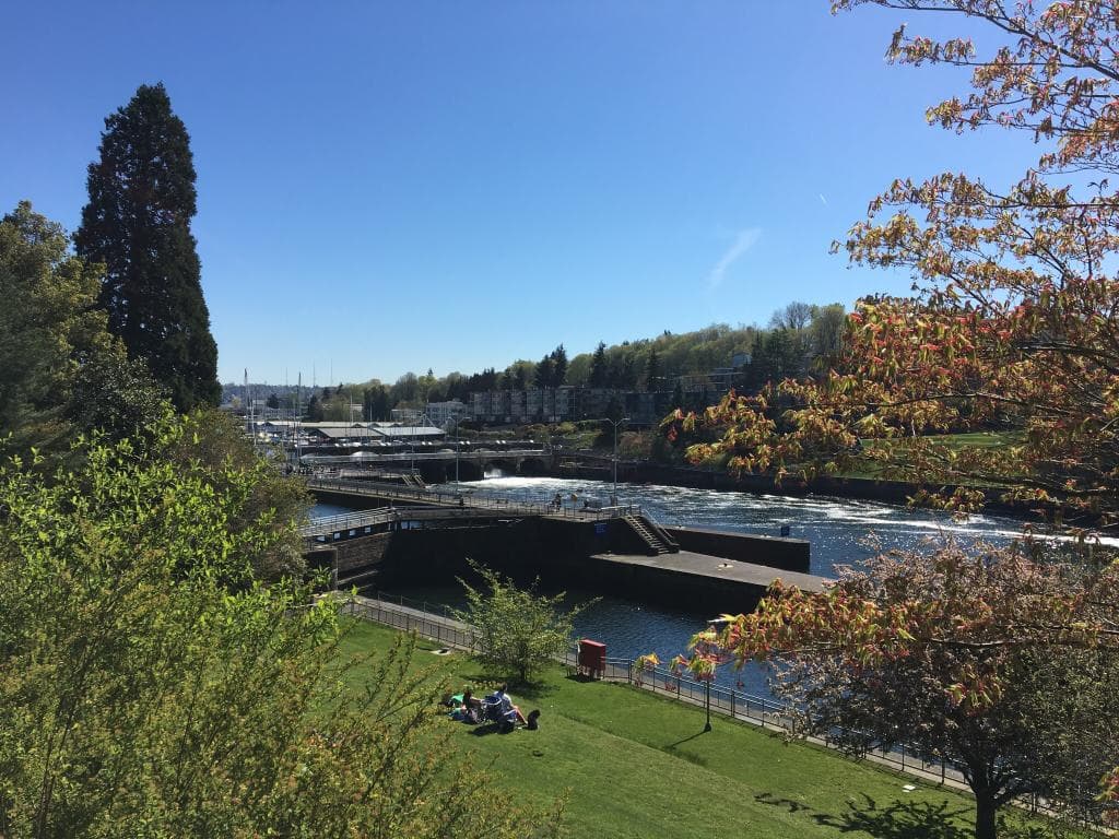 Carl S. English Jr. Botanical Garden