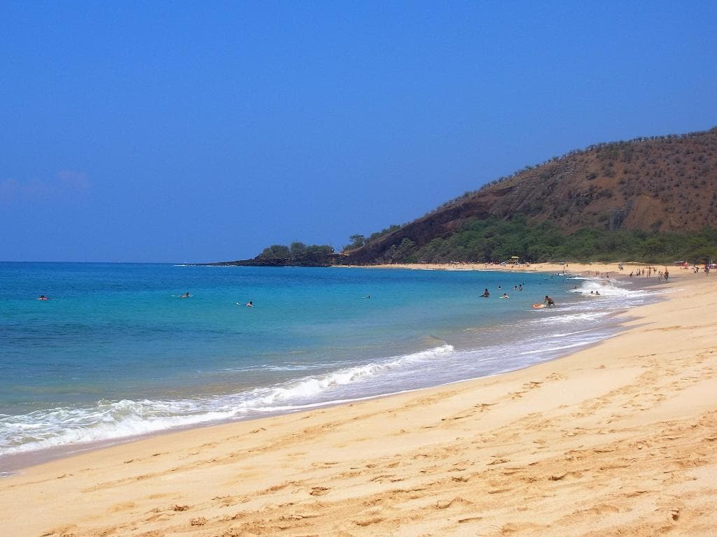 Long stretch of beach to explore.