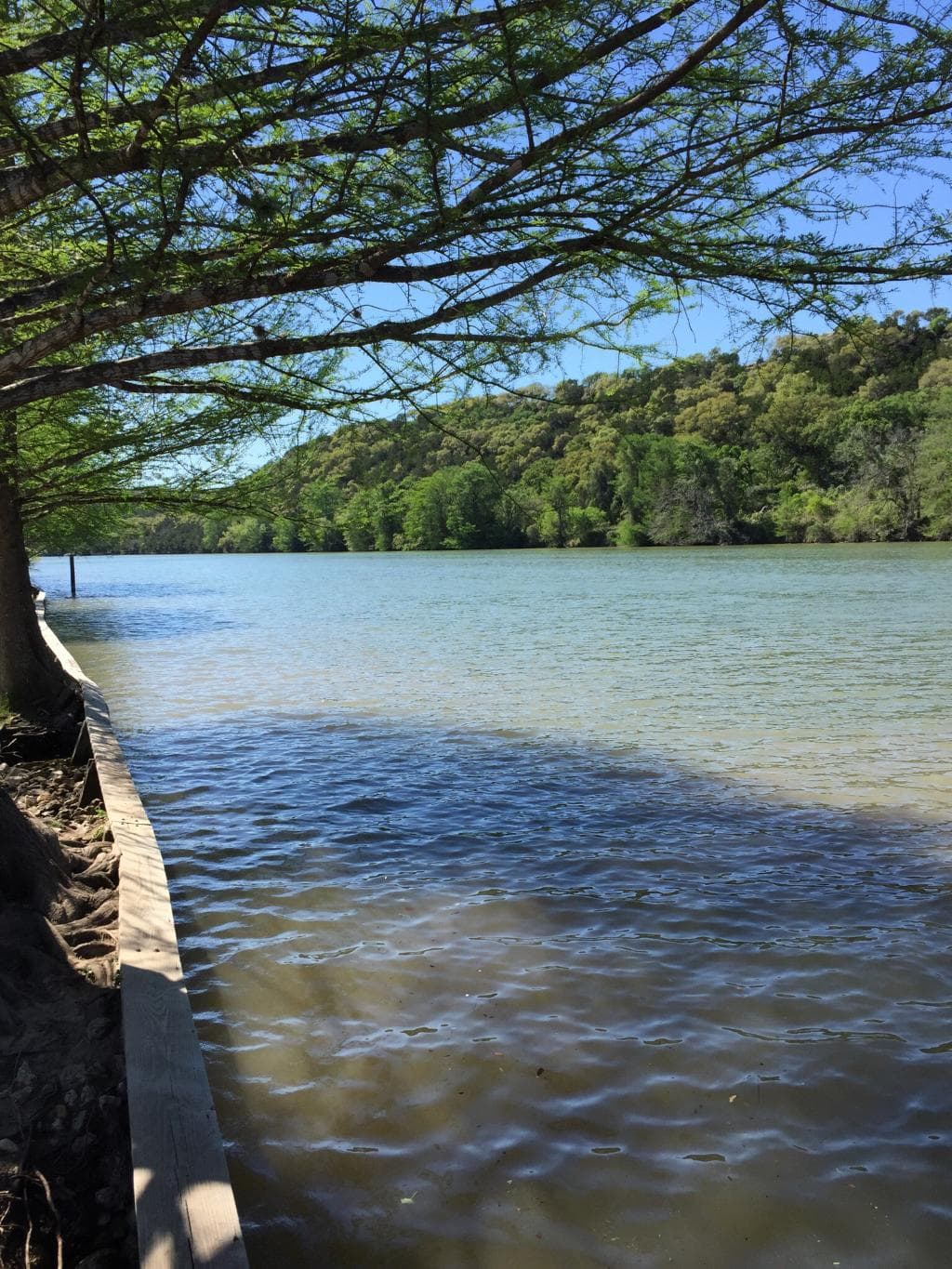 Commons Ford Ranch Metropolitan Park (2026) – Best of TikTok, Instagram ...