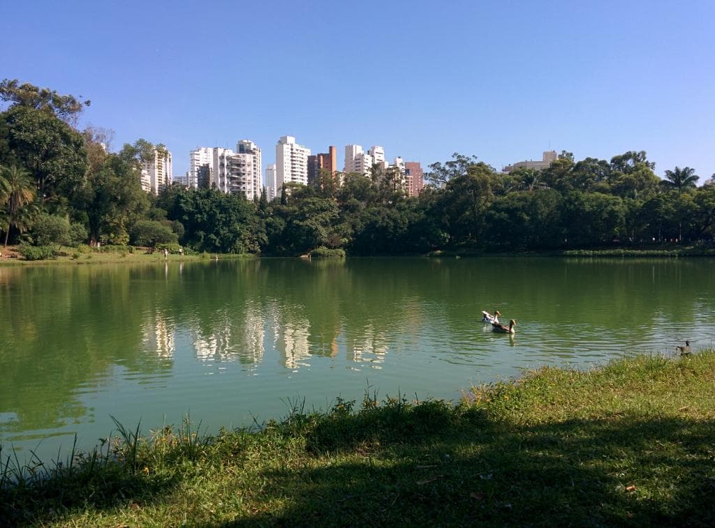 Lago parque de Aclimação