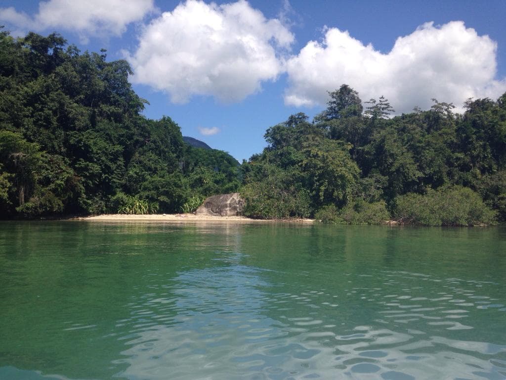 Ilha da Cotia