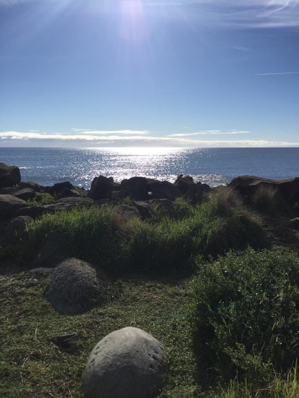Little Penguin Observation Centre