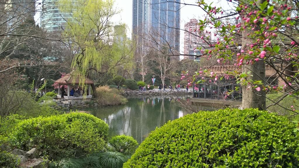 Pond in Peoples' Park