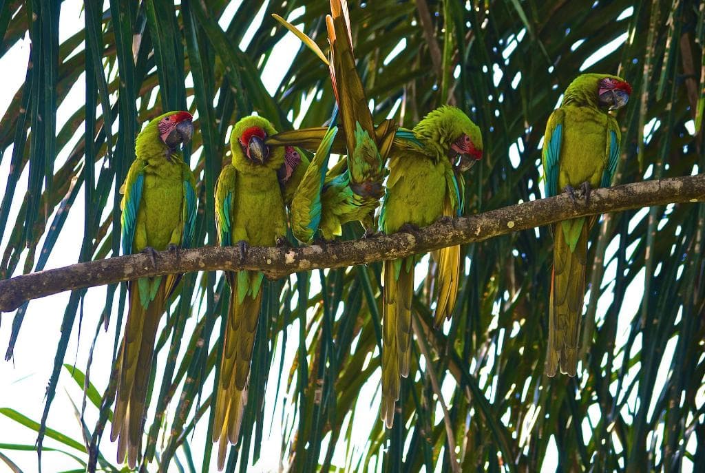 getlstd_property_photo