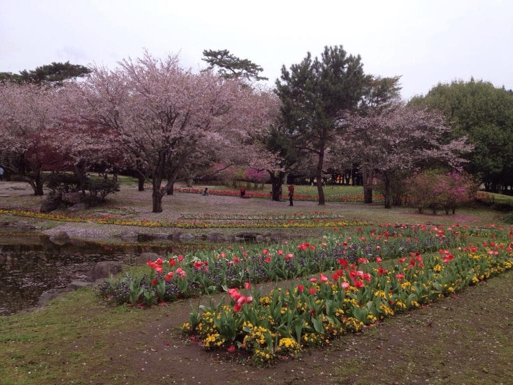 Beppu Park