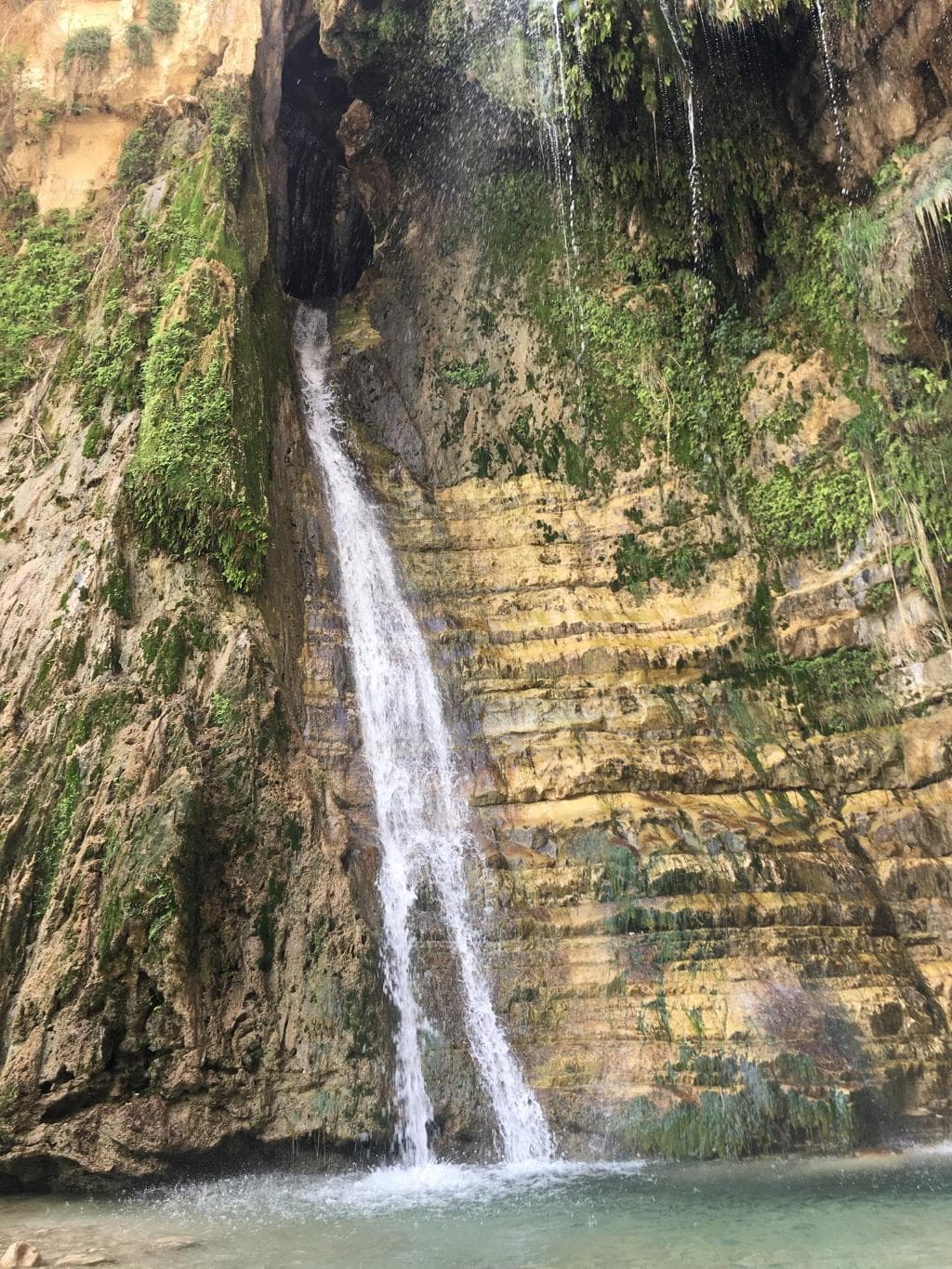 Ein Gedi Nature Reserve Jerusalem