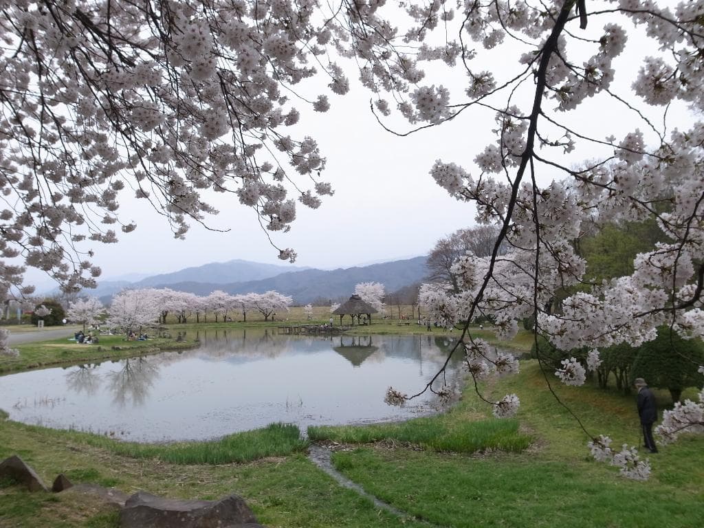 神社の横には公園があった
