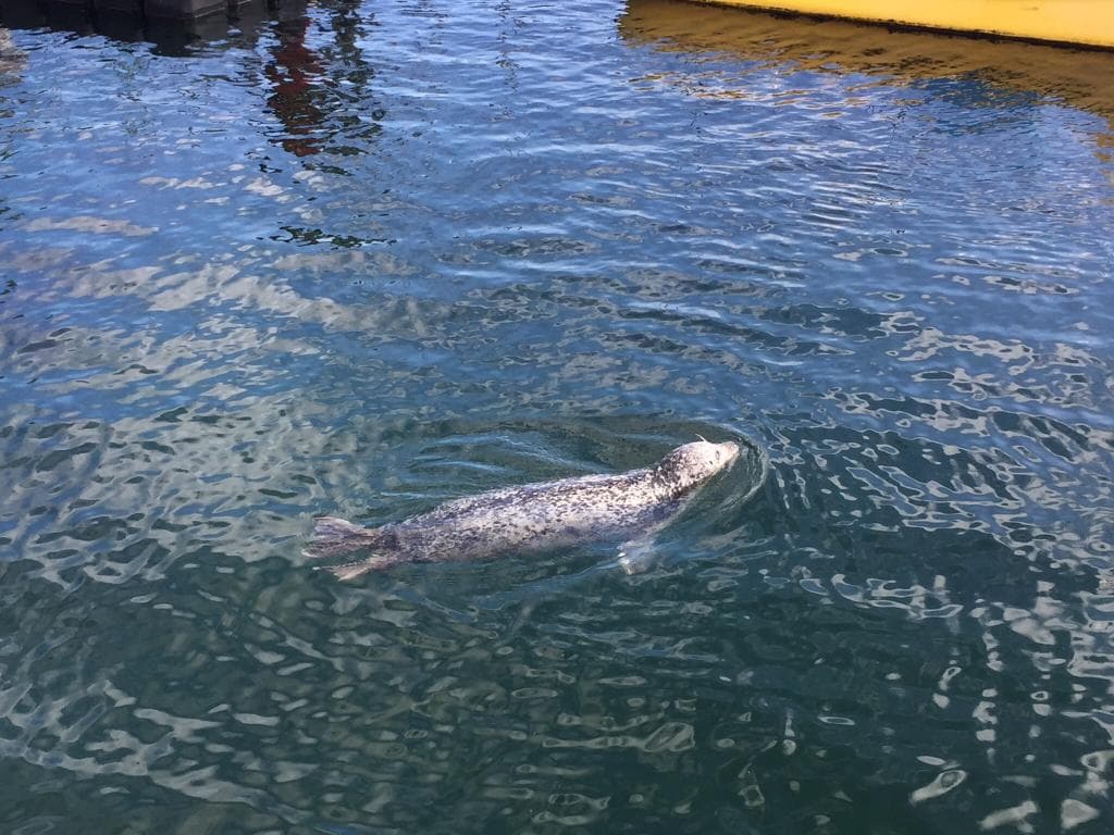 Marine Science Center Hohe Düne