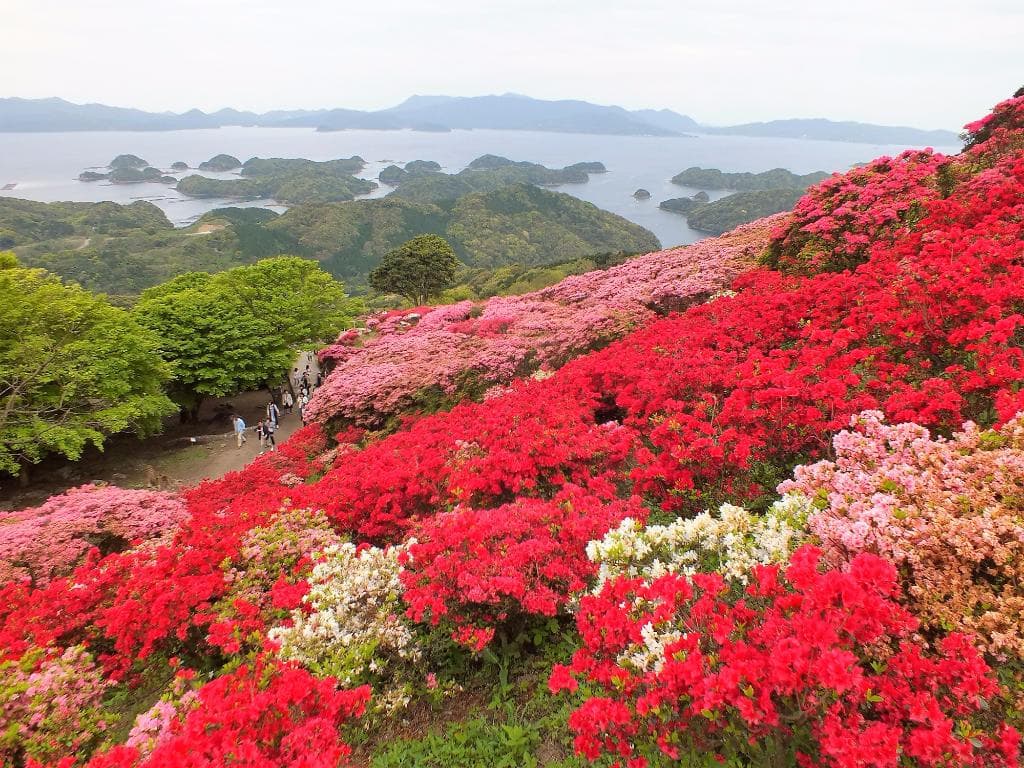 ツツジ越しの九十九島