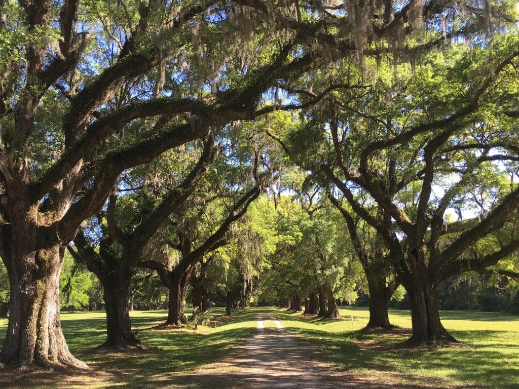Laurel Hill County Park