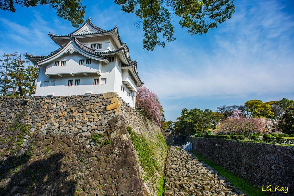 Castle