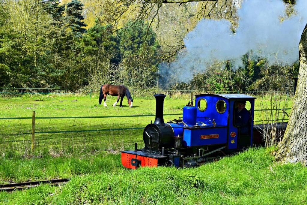 Bressingham Steam Museum and Gardens