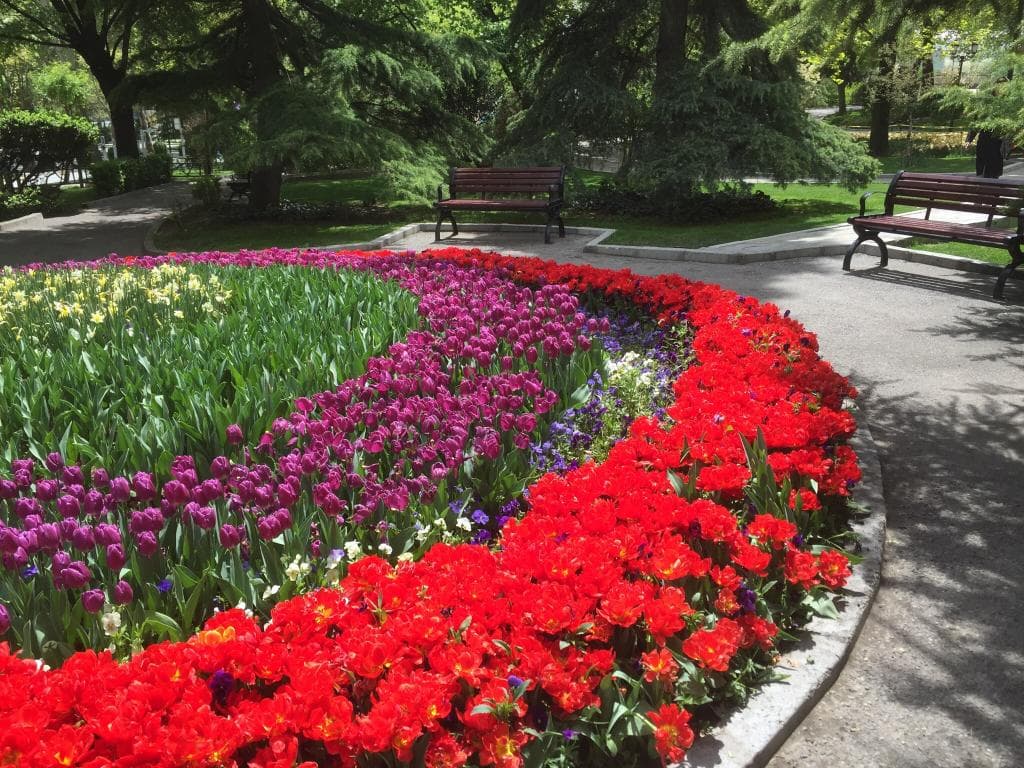 Spring