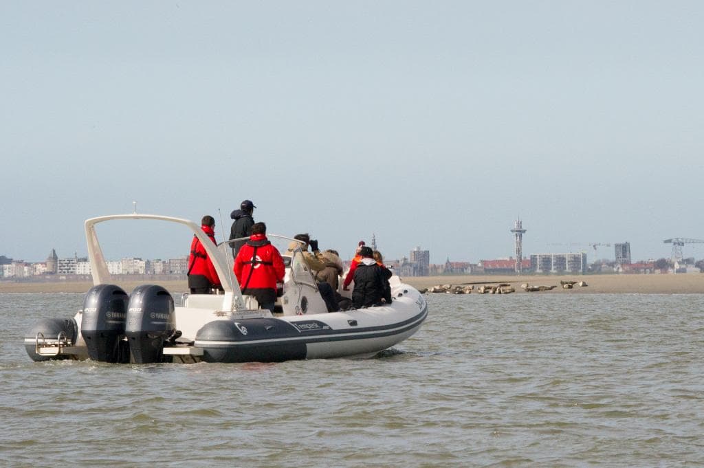 getlstd_property_photo