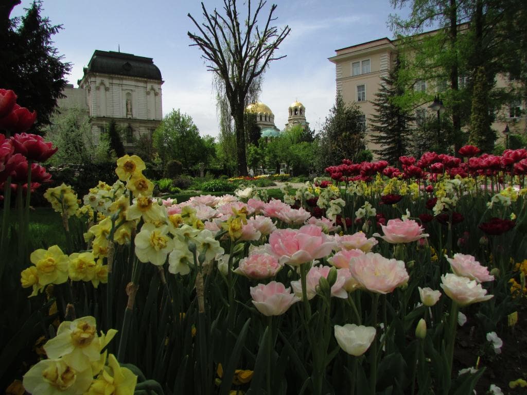 University Botanical Garden Borisova