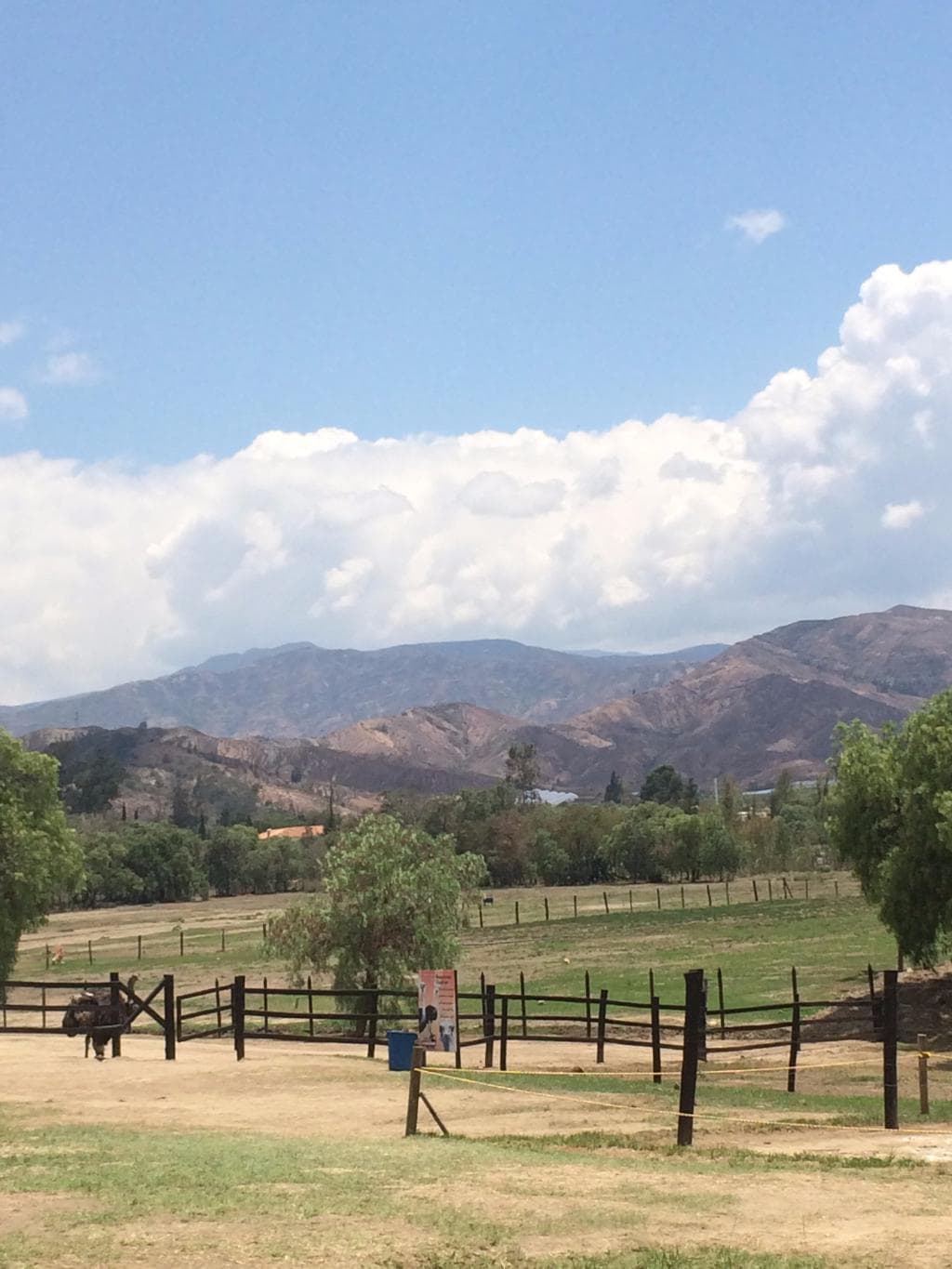 View from one of the enclosures