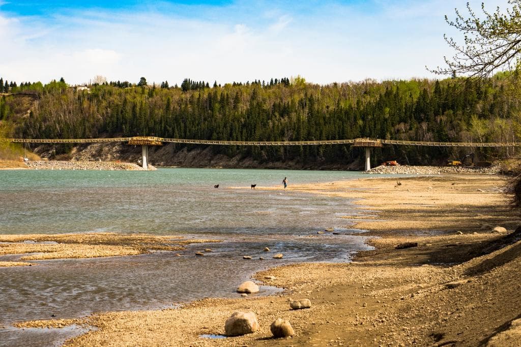 T Town in the Spring