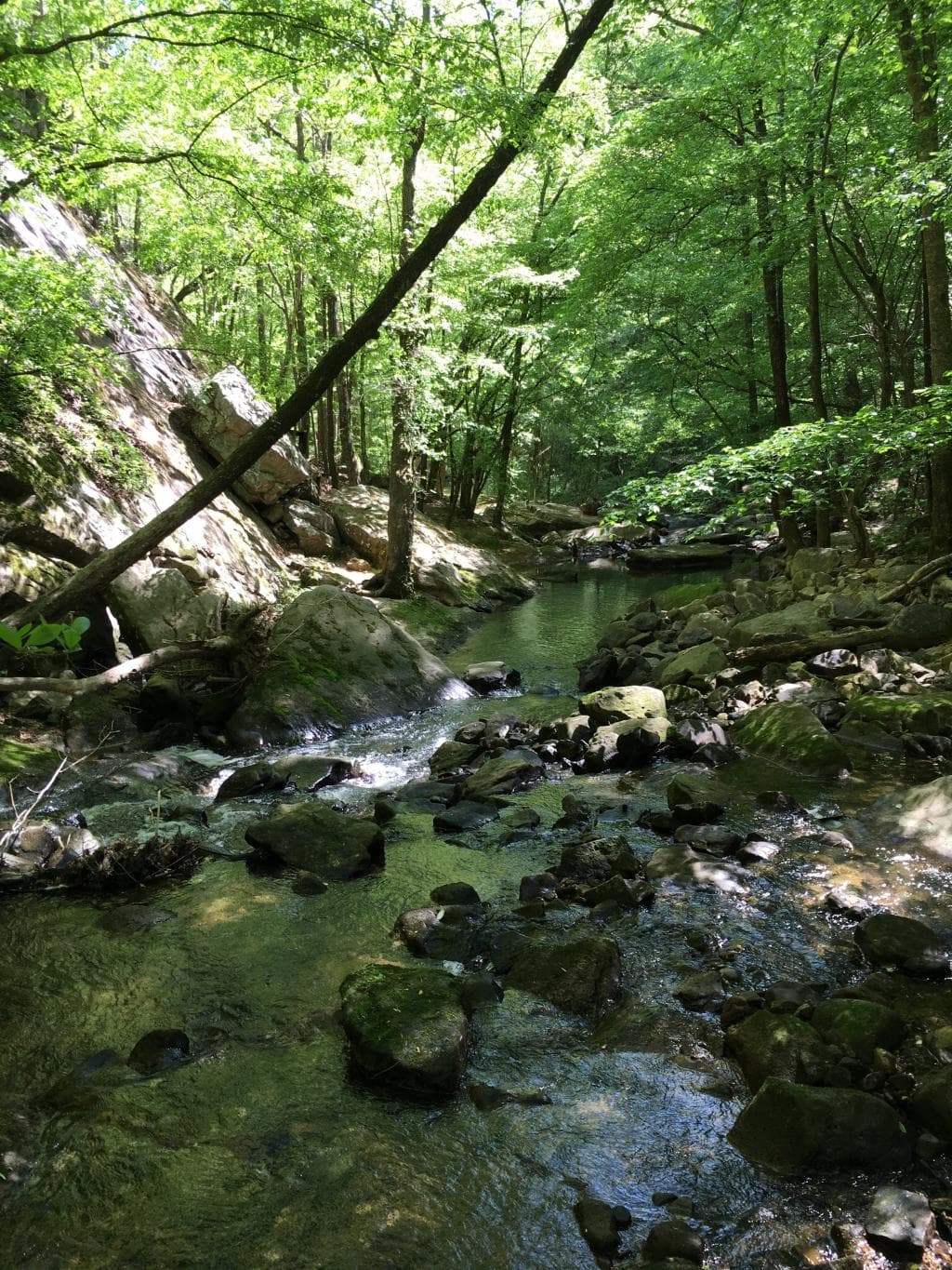 Hurricane Creek Park
