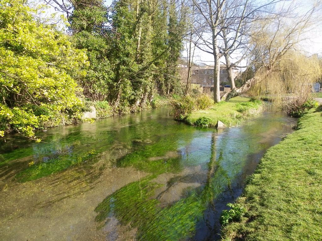 Beautiful River Dour runs through the park