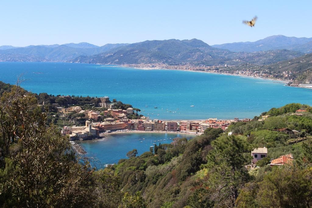 Punta Manara Trail Liguria