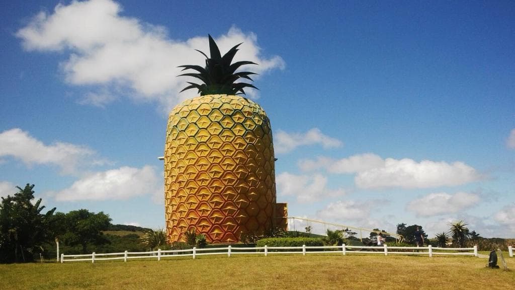 Big Pineapple