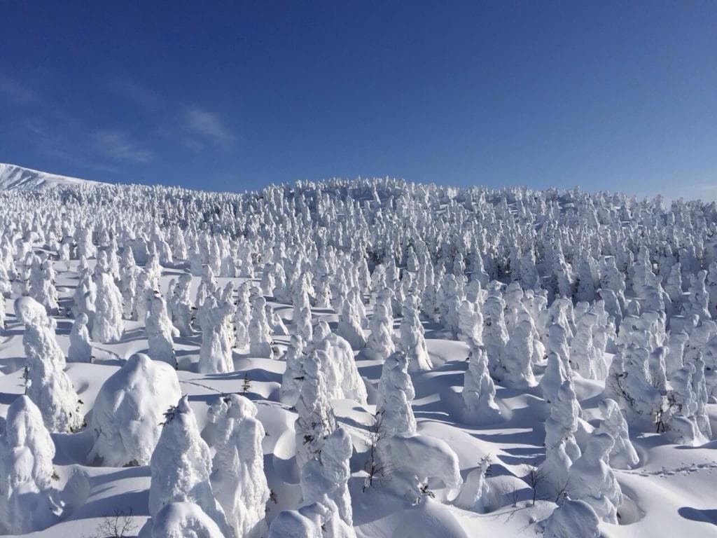 Zao Onsen Ski Resort Yamagata