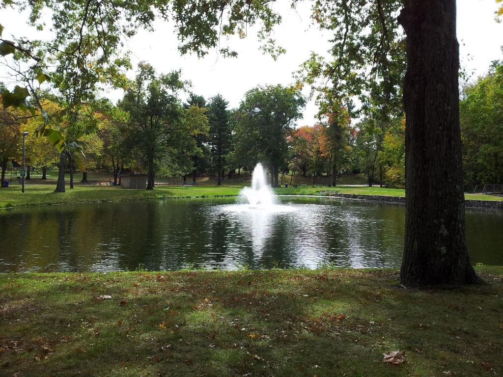 Fernridge Park in the fall