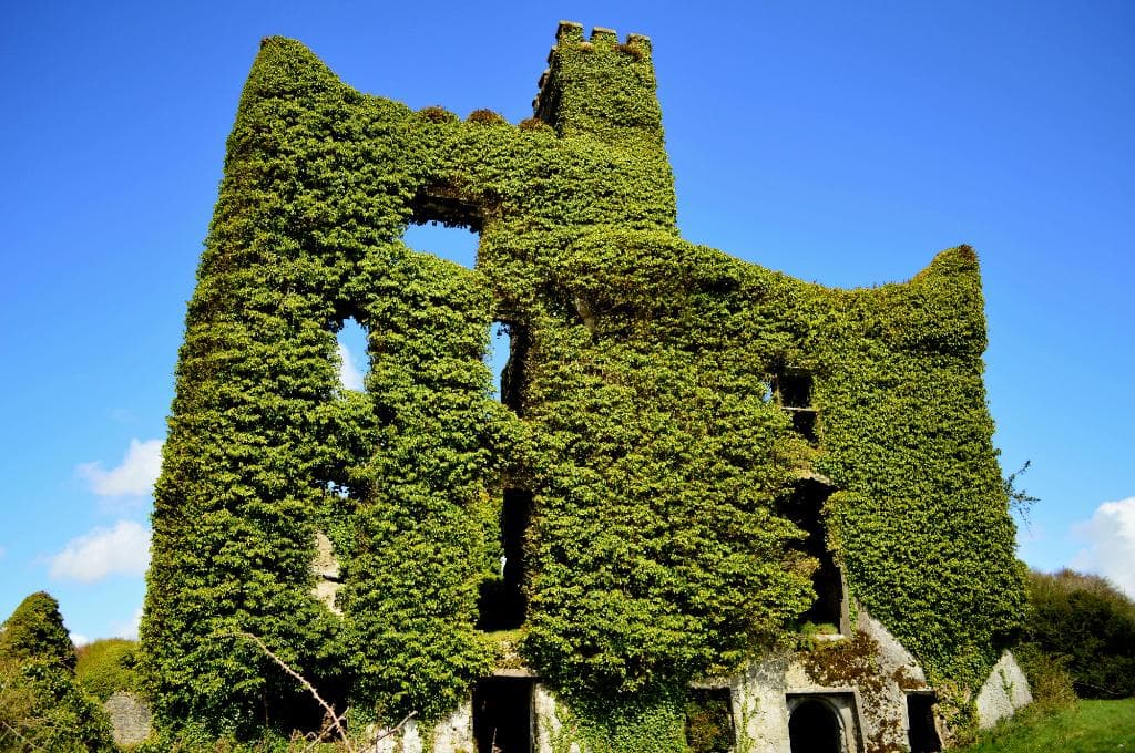 Menlough Castle Co. Galway