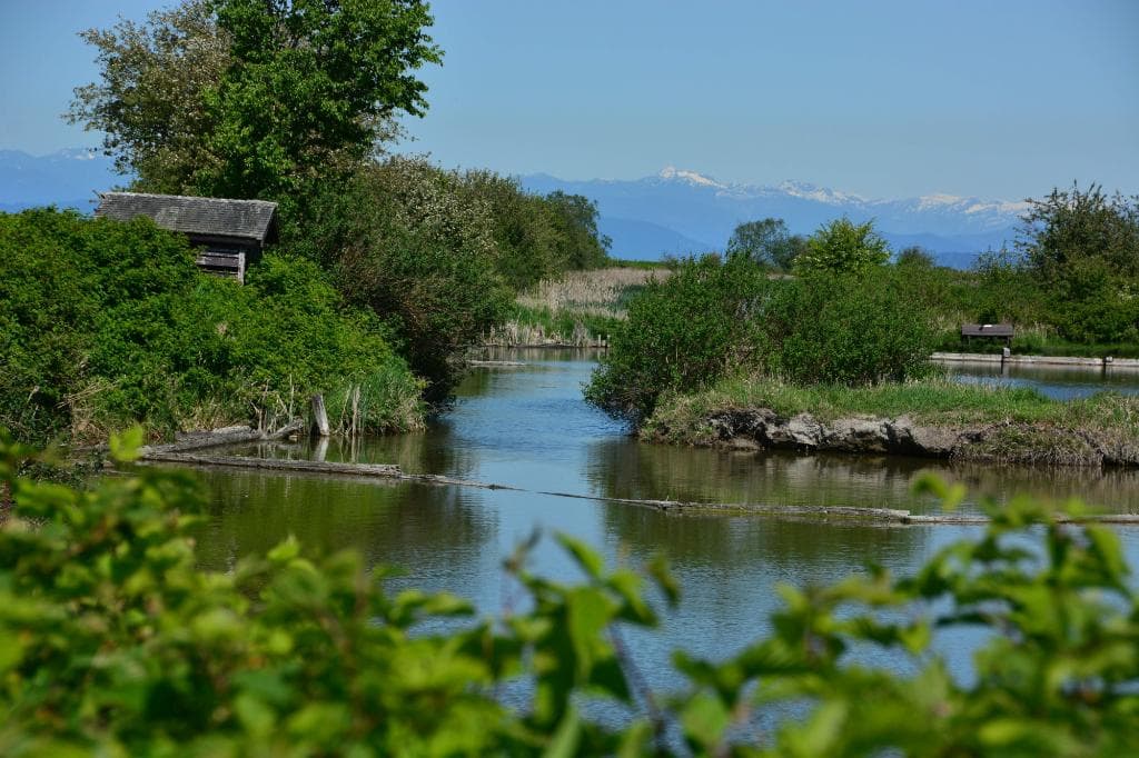 George Reifel Migratory Bird Sanctuary, Delta BC