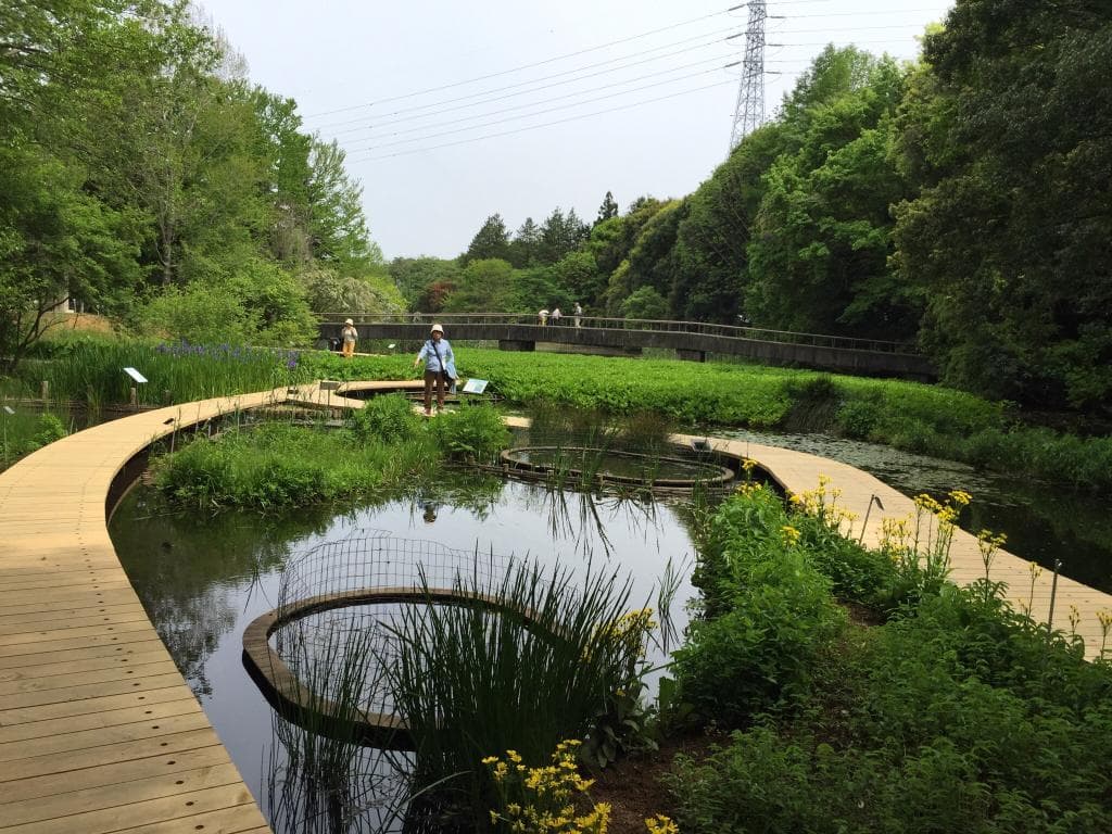 Tsukuba Botanical Garden