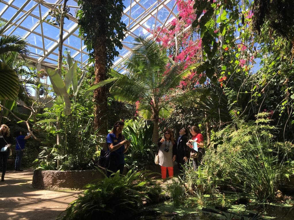 Amarillo Botanical Gardens