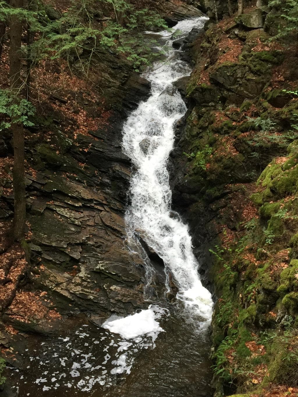 Chesterfield Gorge Natural Area