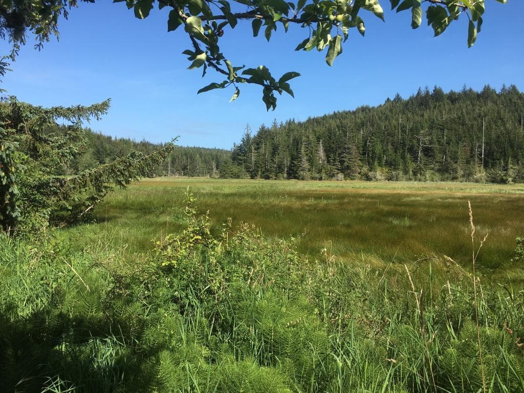 Various photos of the views that can be seen along the trails on the south slough