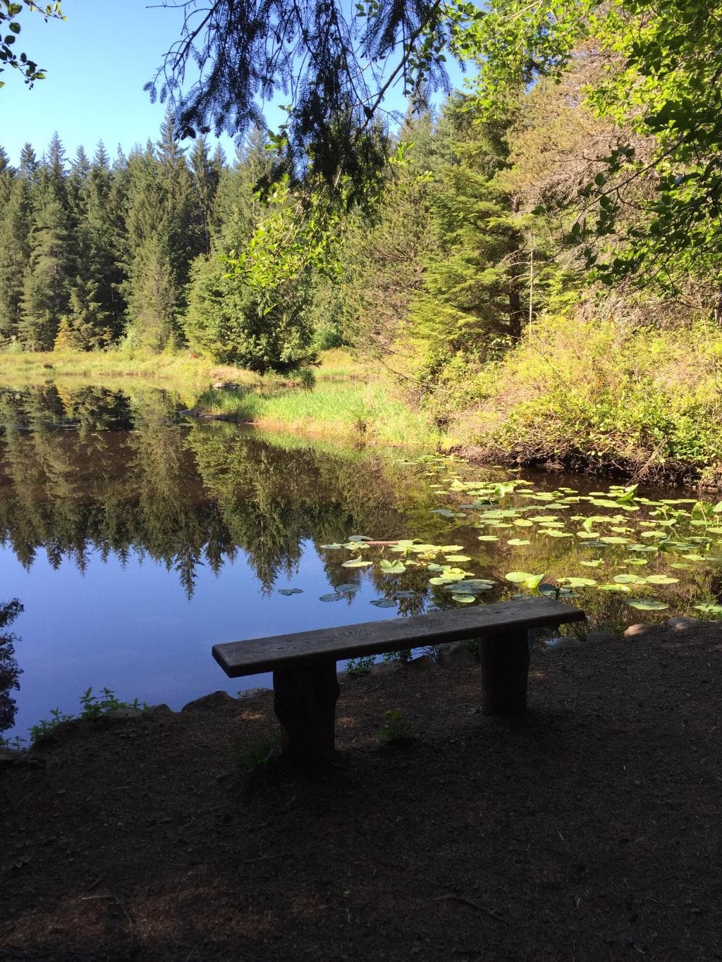 Seal Bay Nature Park