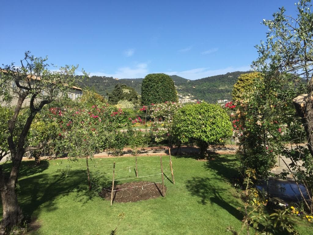 Parc des Arenes de Cimiez en mai