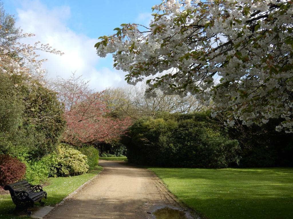 Wavertree Botanic Park and Gardens.